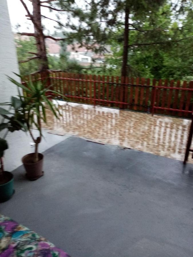 Family Apartman Ana - Star Golubac Exterior foto